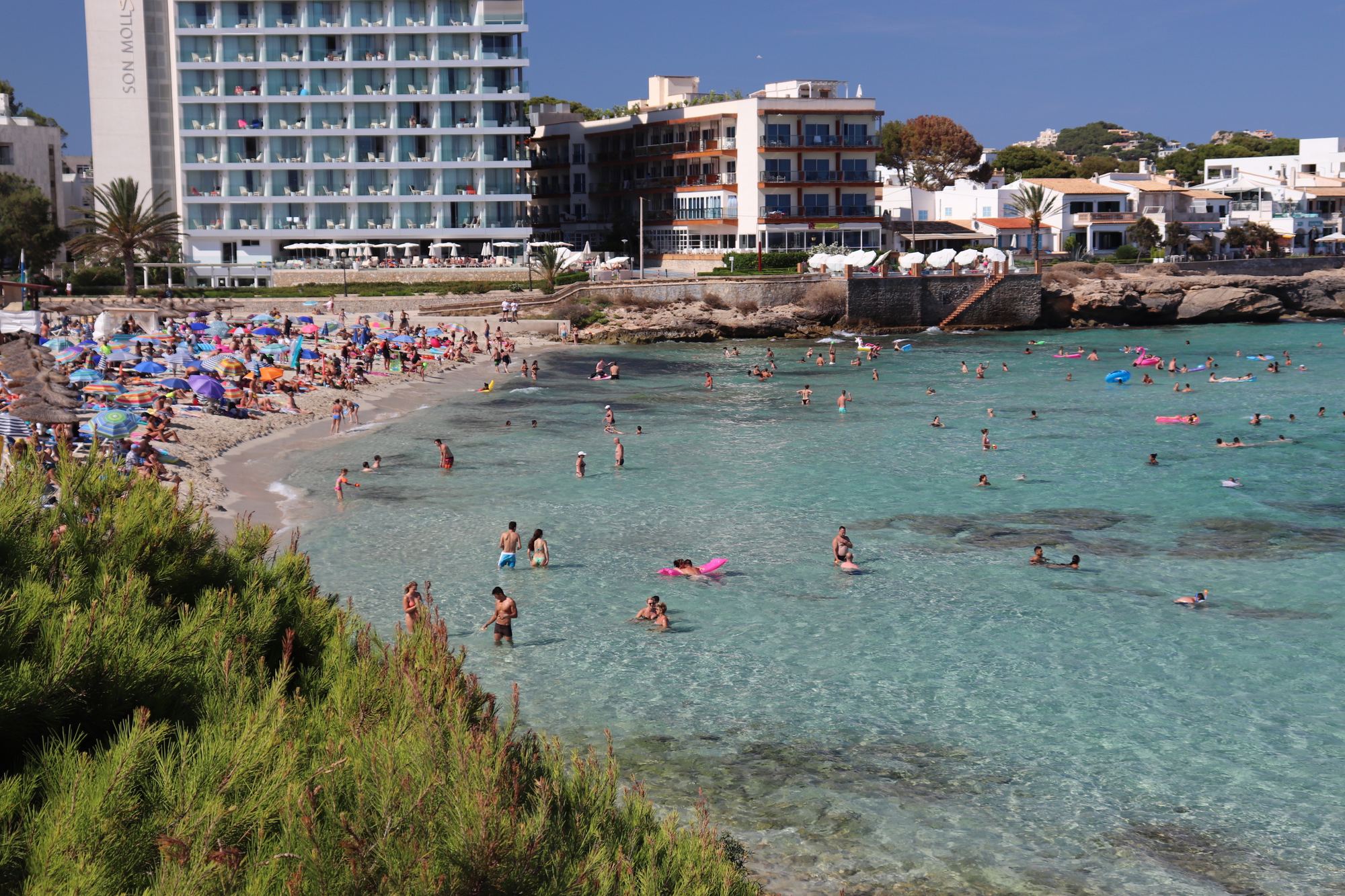 Cala Agulla on a clear day, a wide arc of pale sand and shallow turquoise sea backed by pine woods