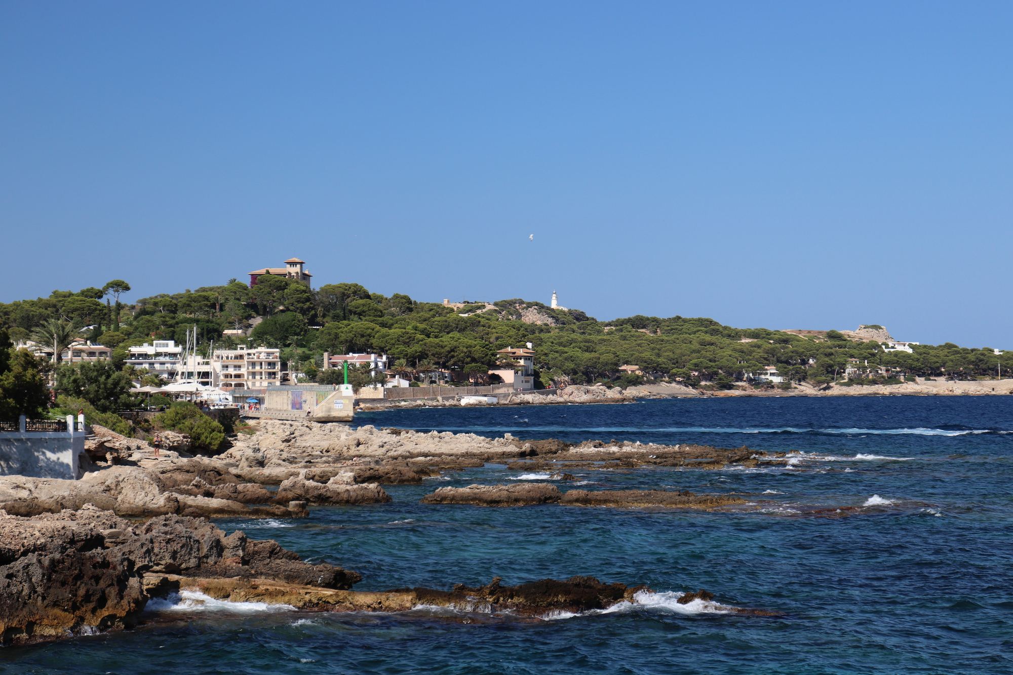 The rocky coastline east of Cala Ratjada, low pines on the headland and deep blue open sea
